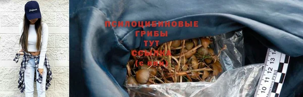 a pvp Зеленокумск