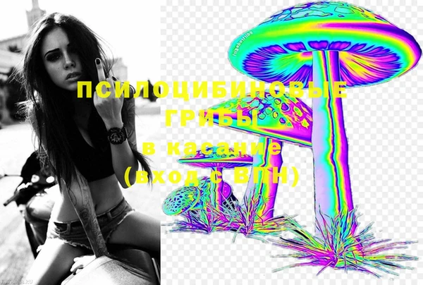 метадон Зеленодольск