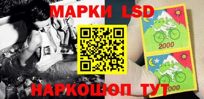 шишки Жуковский