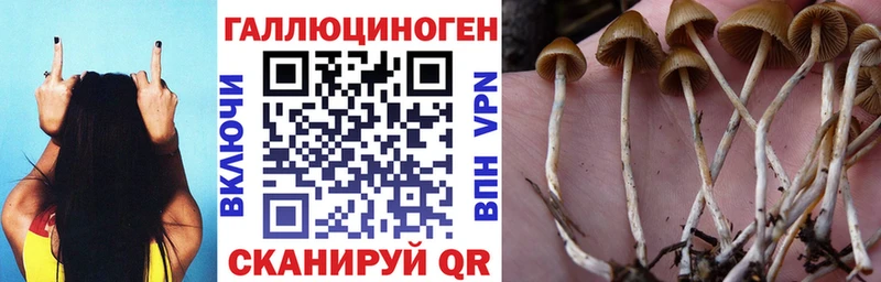 Галлюциногенные грибы GOLDEN TEACHER  Сегежа 