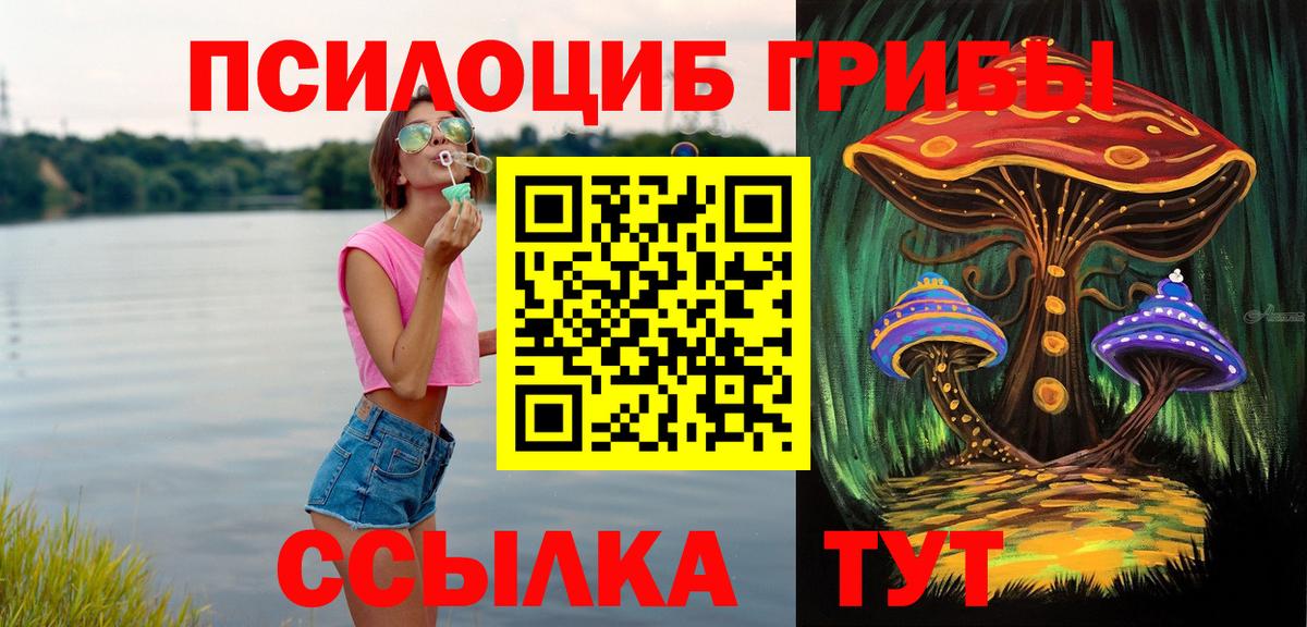 Сегежа  Галлюциногенные грибы мухоморы  магазин продажи   Псилоцибиновые грибы MAGIC MUSHROOMS  Вход с VPN 