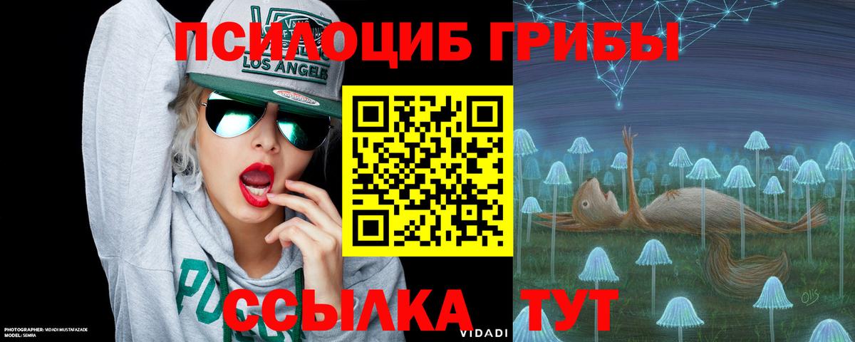 Галлюциногенные грибы Psilocybine cubensis Сегежа