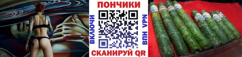 Каннабис сатива  Сегежа 